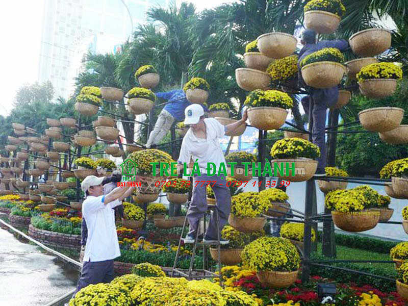 Thúng Trang Trí Tết
